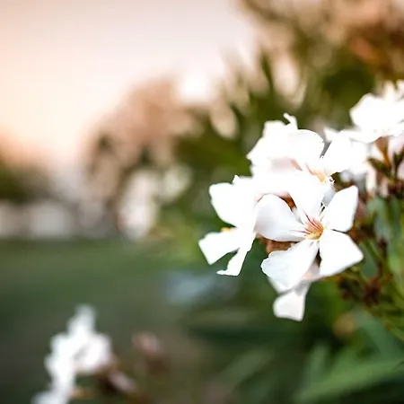 Kokkinos Апарт-отель 3*