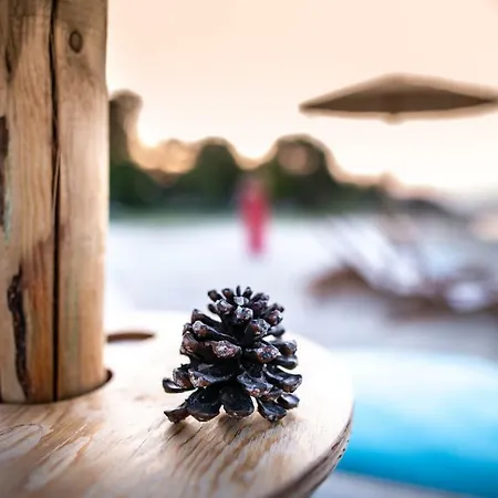 Kokkinos וורוורו