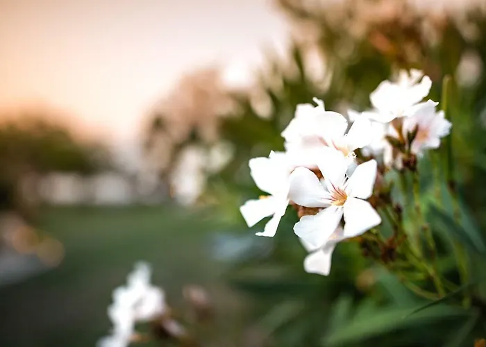 Kokkinos Apart-hotel 3*